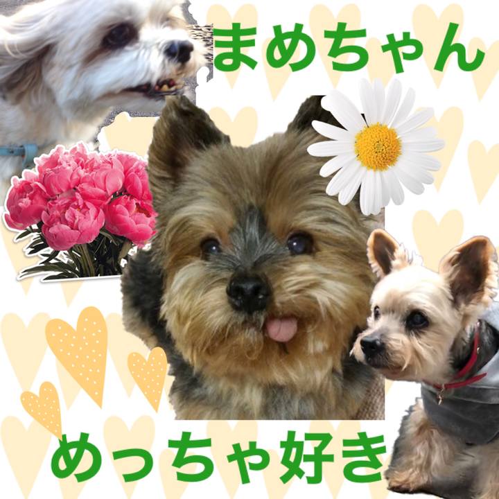 848650c5 8d6f 485b 9286 be9572ecce75 1586262395276