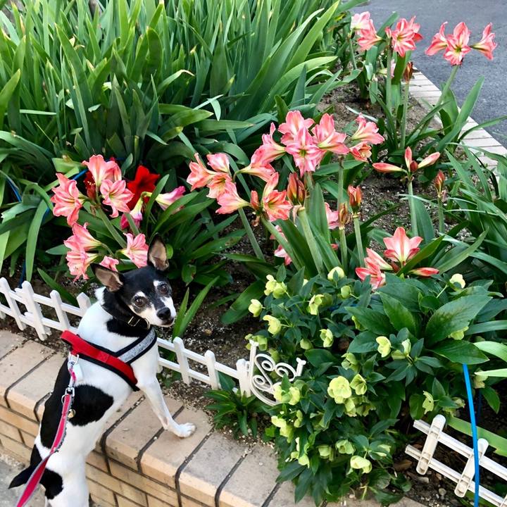 84866025 6960 4f8d 9221 9bbb7a6d3f52 1558561416829