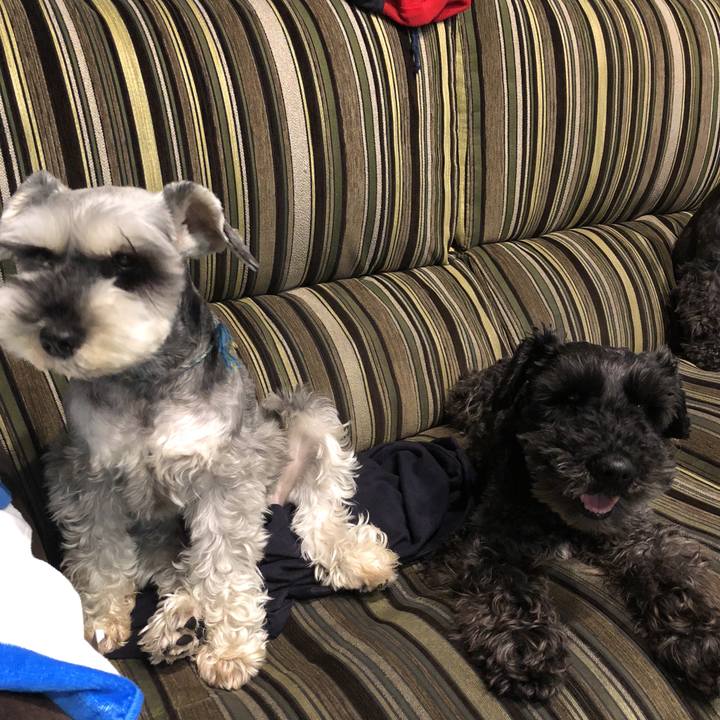 84867d59 d228 4eee a96b 247f397fe26b 1526559604225