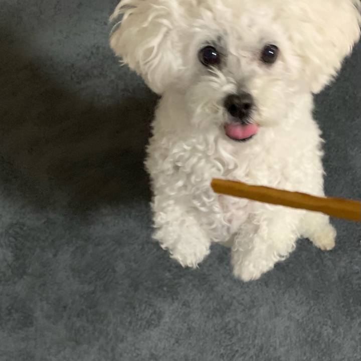 8486e36f dc3f 44fe aeed 7cbb4caff5b7 1637491274088