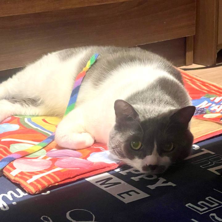 84872a86 a15d 4714 b40e 6e6c03bf4bb4 1694693937486