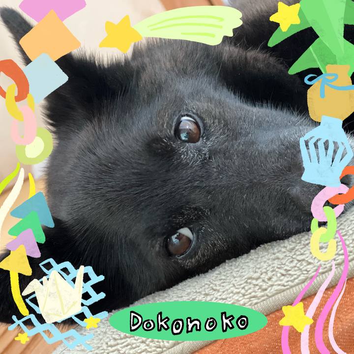 84873719 8ef4 4b9a 9e3d 4b7b9622b66d 1755144004578