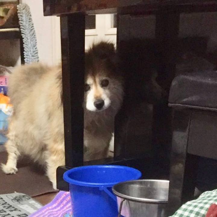 84873e25 ce89 4e79 bf64 1627da4780a5 1575868488240