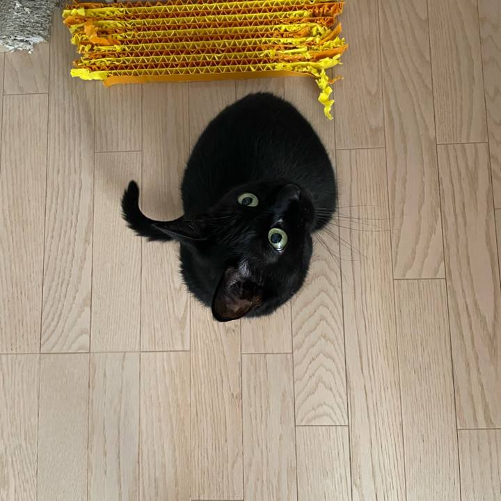 84877c23 dbf4 40ae b41f 54469e5b834a 1744507285854