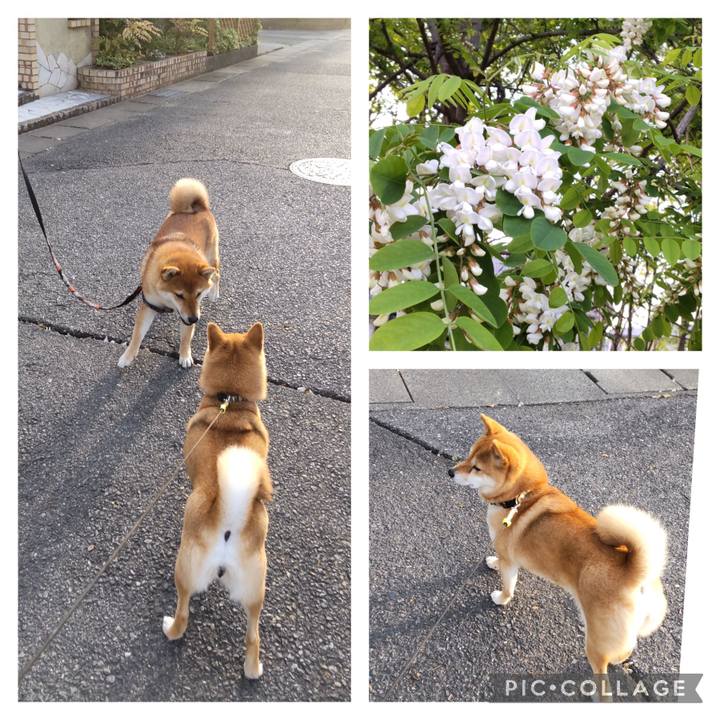 84878b85 33de 4173 b877 273495429c85 1682635492684