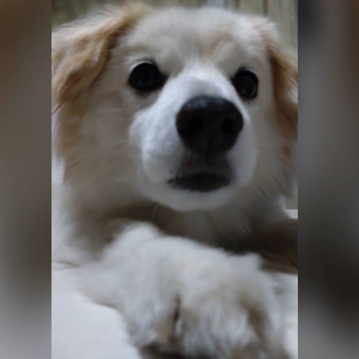 8487c843 fc2e 44ee bbf9 dc1f8916b4a2 1653060124789