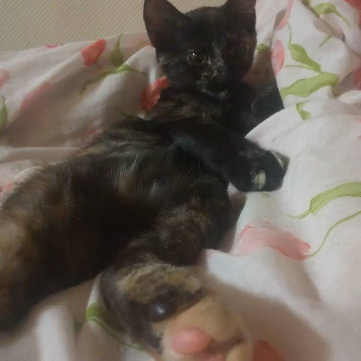 8487c8a2 b9c3 4dfc 8d2b 0068005b763e 1725099724485