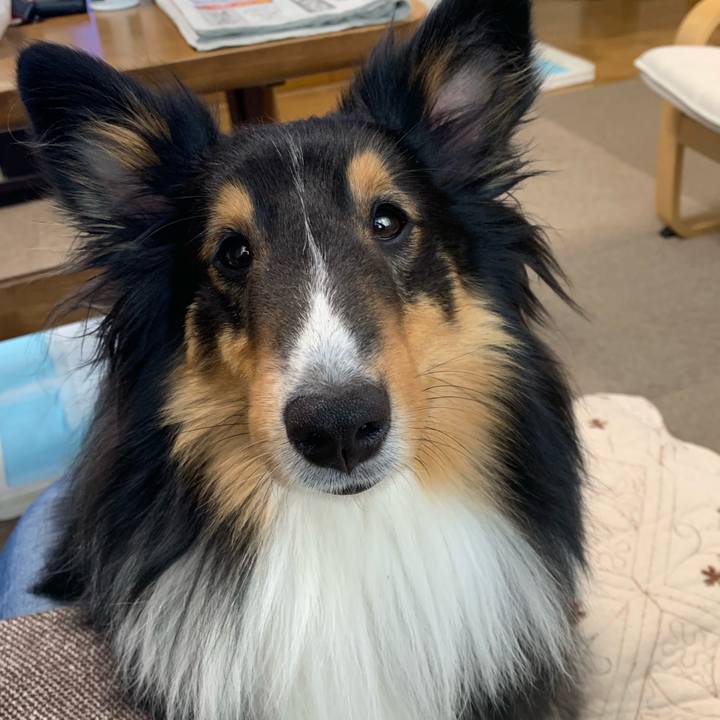 8487dfed a8d8 41bc a4c1 c1750d03cb31 1553988348264