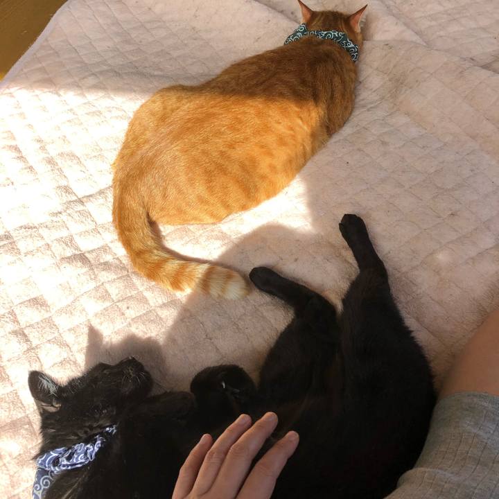 8487e233 7c6c 4e09 a47a 507da552bfa8 1559084368477