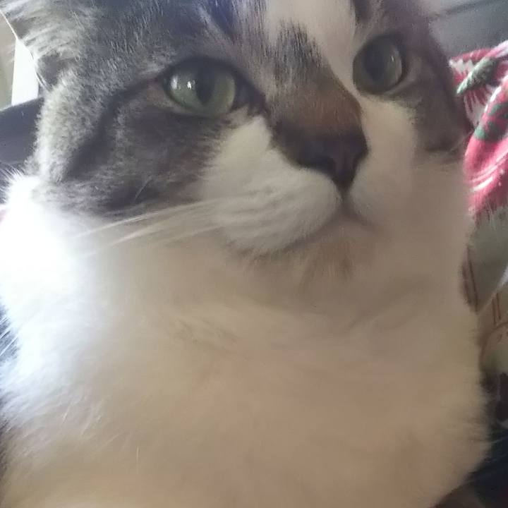 8487e287 c1cc 42f1 bcf4 a1d85768edc8 1618705113191