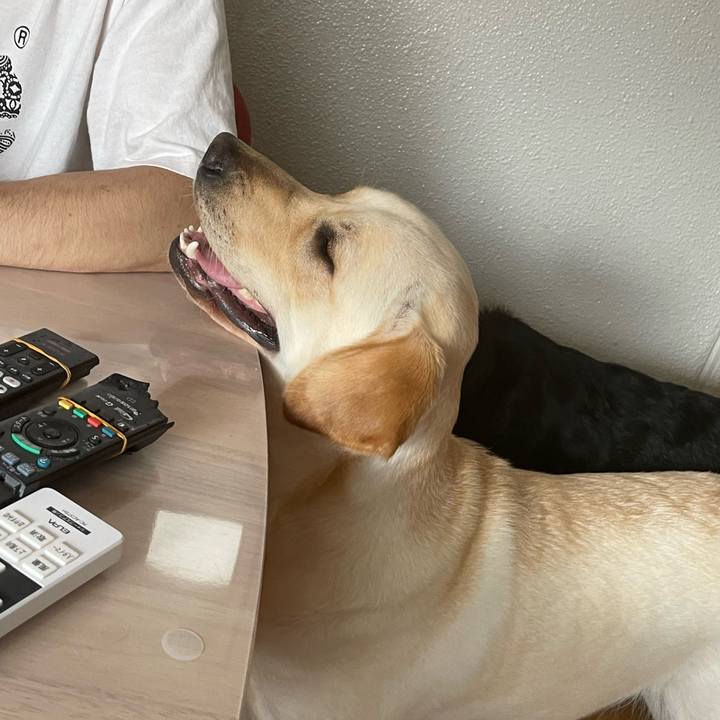 8487fc3f 119a 4692 a4a7 df6a79fccfd0 1654998779622