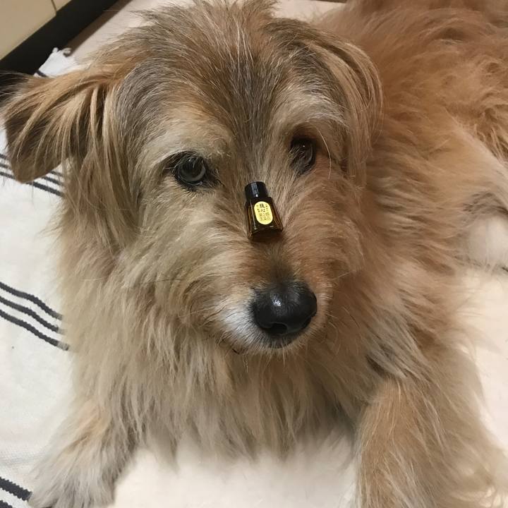 848864da 25cd 43b6 ade1 8004e43e7b74 1553002873418