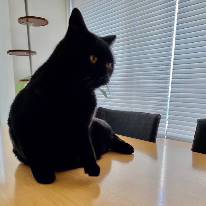 84886523 d4cf 4517 8c1c d110bb5fcd53 1597800648394