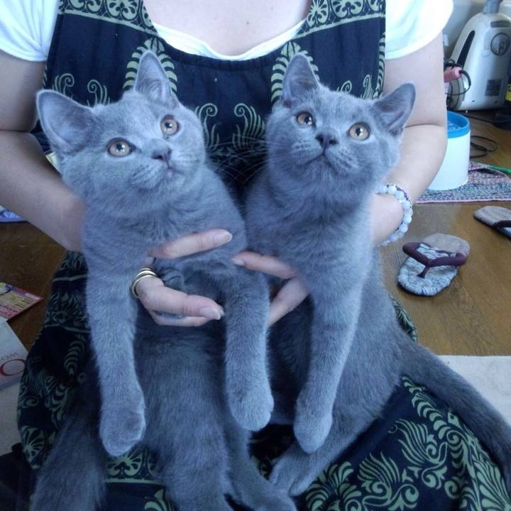 84887bc8 0d07 4e95 abd4 2b50910c9314 1773480835317