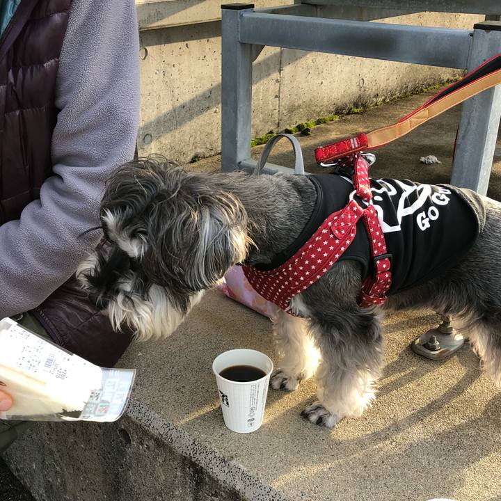 848883d9 91cb 4f33 b947 7e339ebbdac0 1547372434383