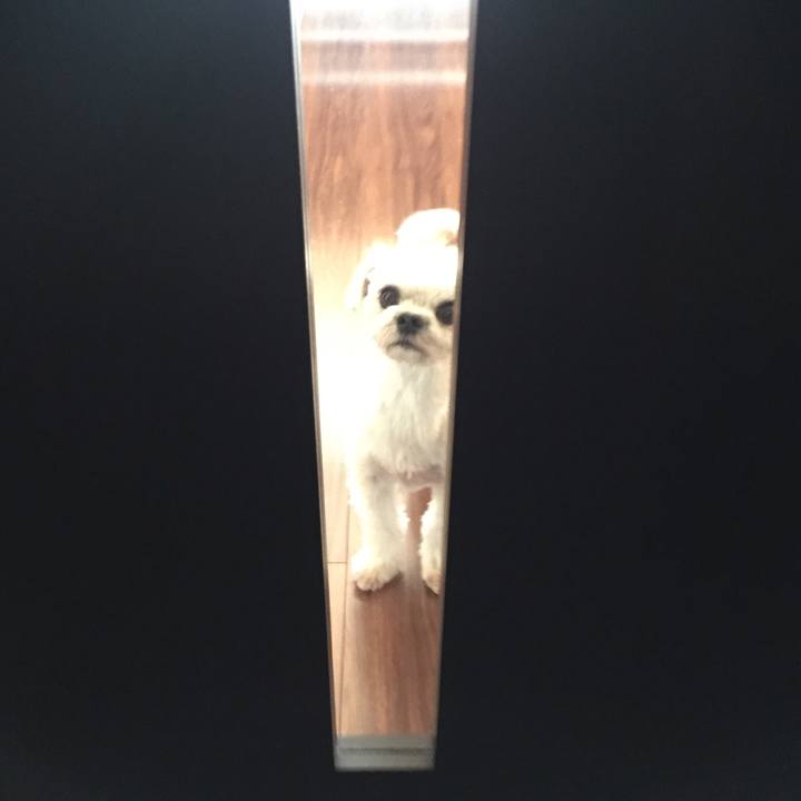 8488a820 45eb 4b7a 982c d3e628152205 1542334986827