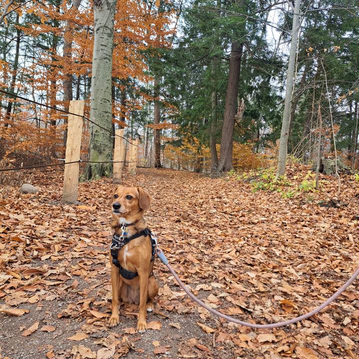 8488a8fa 580e 47e6 bf1d 425ce22aa73a 1763841041118