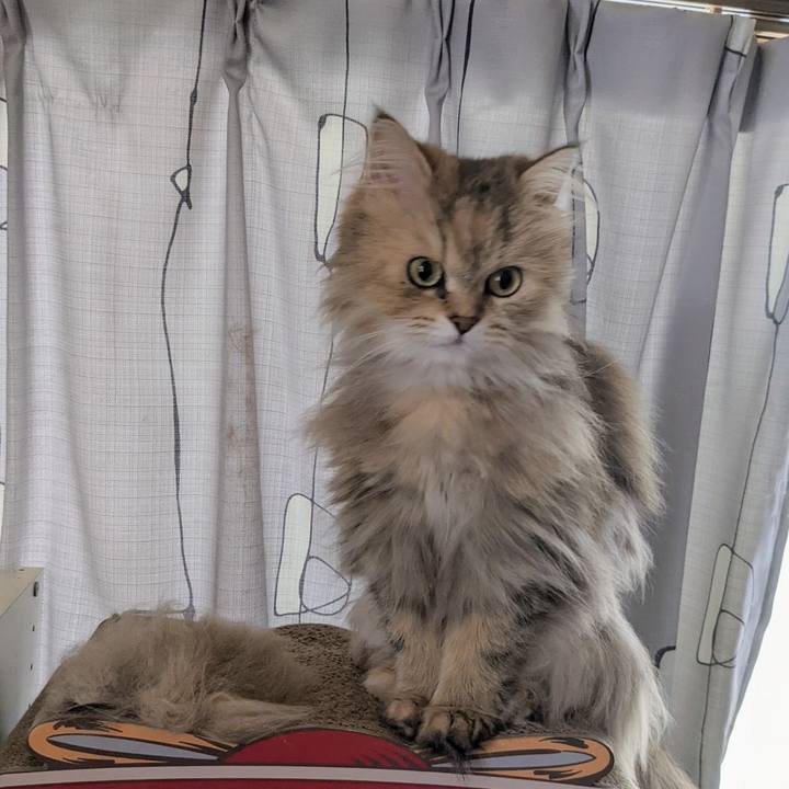 8488b4cc 1407 4523 b8b7 3a8b31ae2ac2 1650754714661