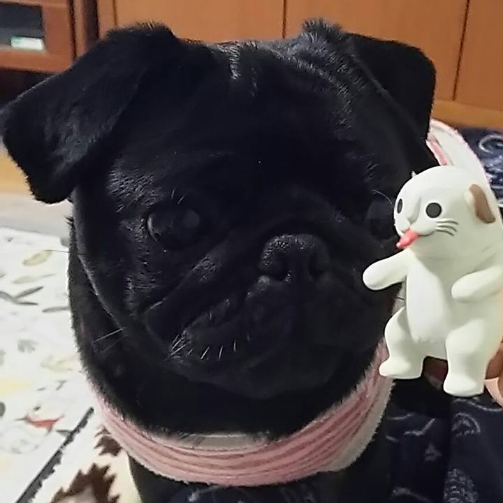 8488cef7 3e0f 491e bd18 4b421cfa6265 1548863557900