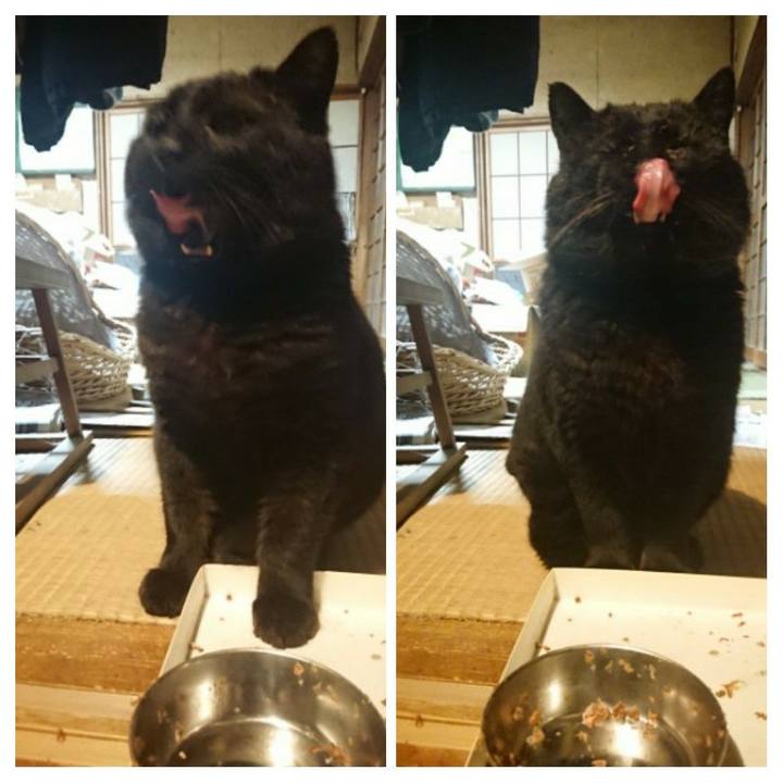 8488cf81 eda3 44b0 bf29 8c91af308be1 1617380565464