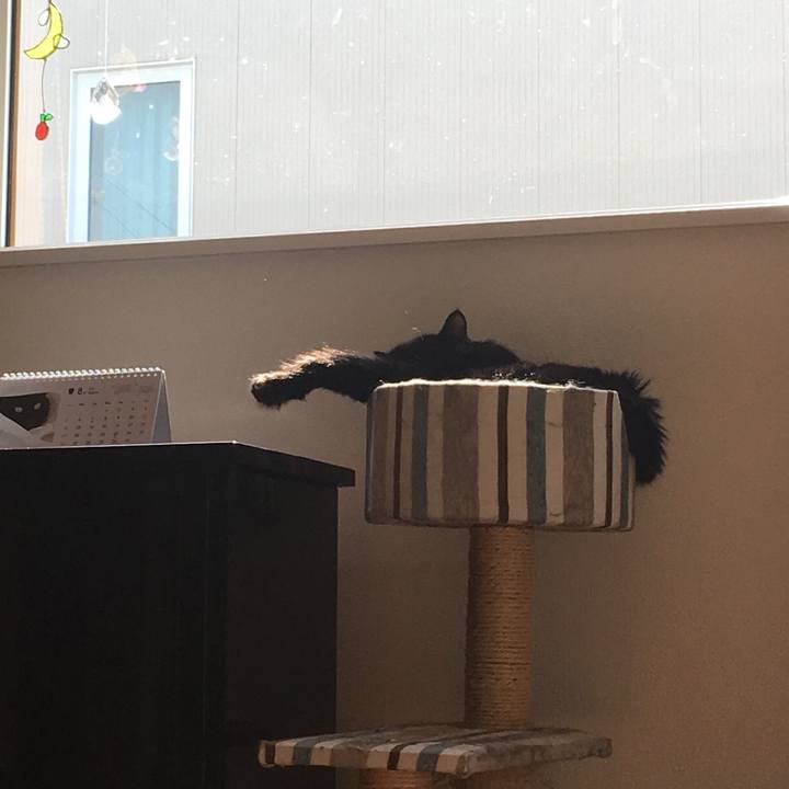 848912d8 73c1 4b96 91df 6f082ee44d66 1533609098621