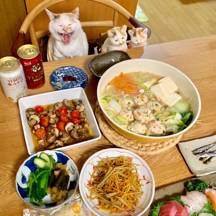 84892371 c209 4f60 b345 6a09367fa18e 1551009402174