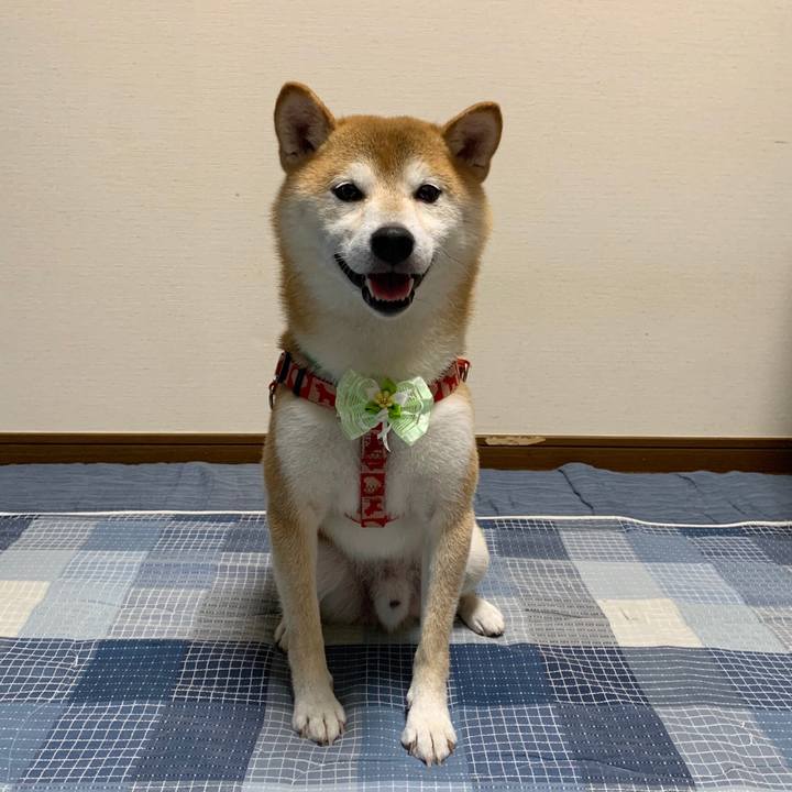 84892aee 0728 45fd add8 f6c33989f6b4 1600166118760