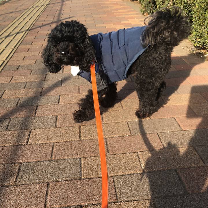 848946de 6a6c 4785 9465 c8c902f80fde 1546913334805