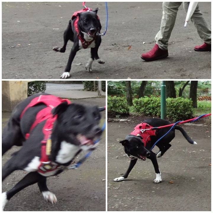 84894b5b 5b13 4db2 a2fd fdabfdb5932f 1594635093627