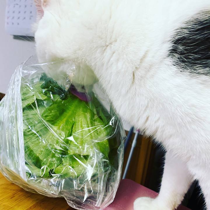 848951f4 ad4d 4540 bc5d 755e220944d6 1600984192885