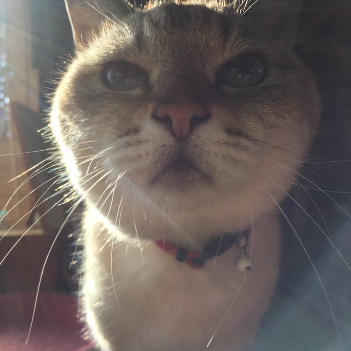 8489a11d c96f 4bf4 a7bb 4b2c4a7accf6 1580365217529