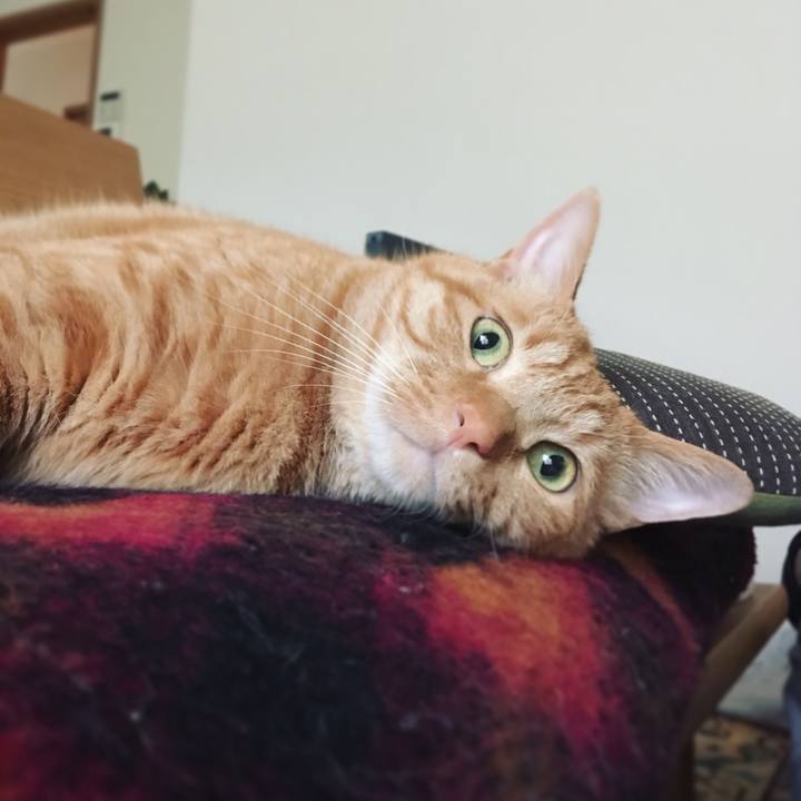 8489b859 ccab 4192 a9ce b1d3de1786dc 1556693680074