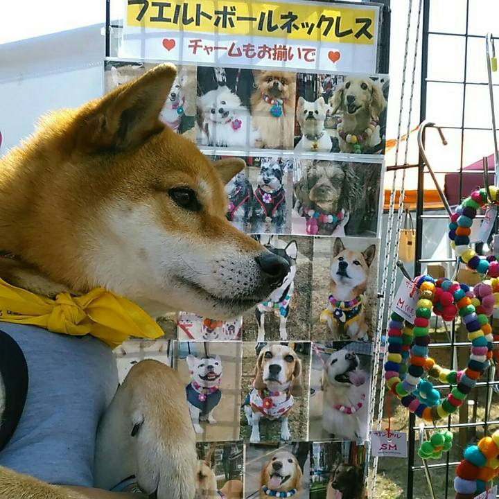 8489c834 42c3 40f3 bd06 2d70555a8c2b 1554545927531