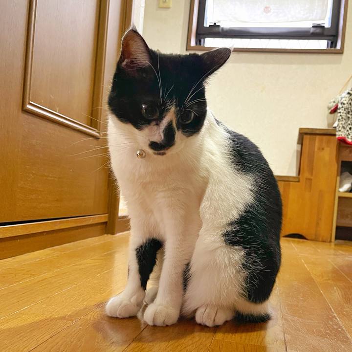 8489f8a3 4e38 4596 9c35 0b57153ddbd7 1759359771520