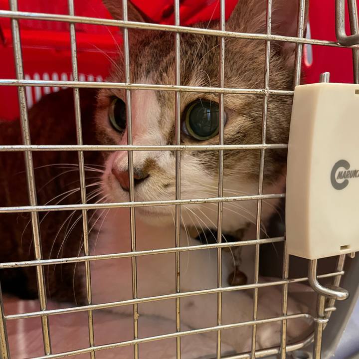 848a101a fe8d 4579 ab9c 16db9965c0ce 1763039642510