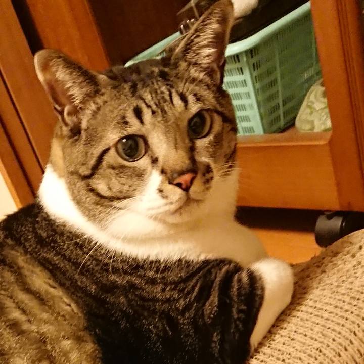 848a1b84 efde 4cb1 84f4 e5d4275d8038 1548077005624