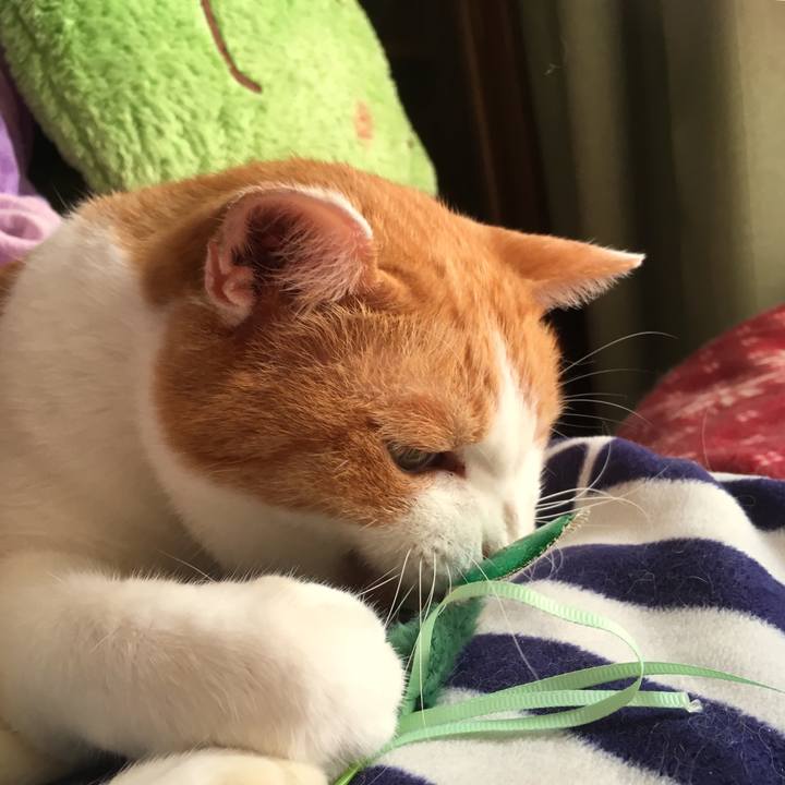 848a2a4e 2528 4e46 8cdd e88aa7b57f33 1570606547161