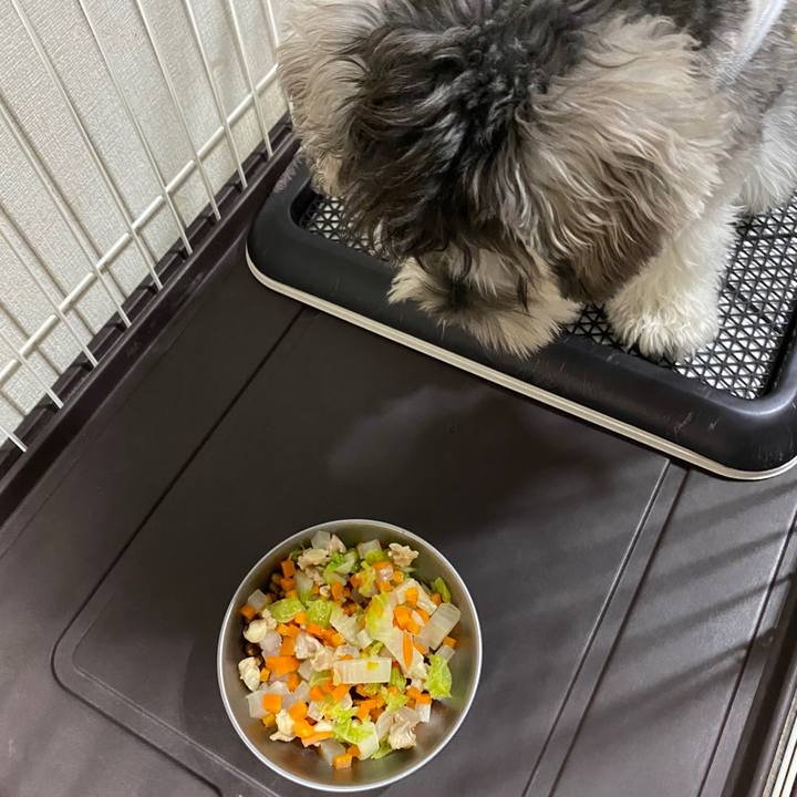 848a3619 2491 457d bf2b 5c60b1a2705e 1577282978176