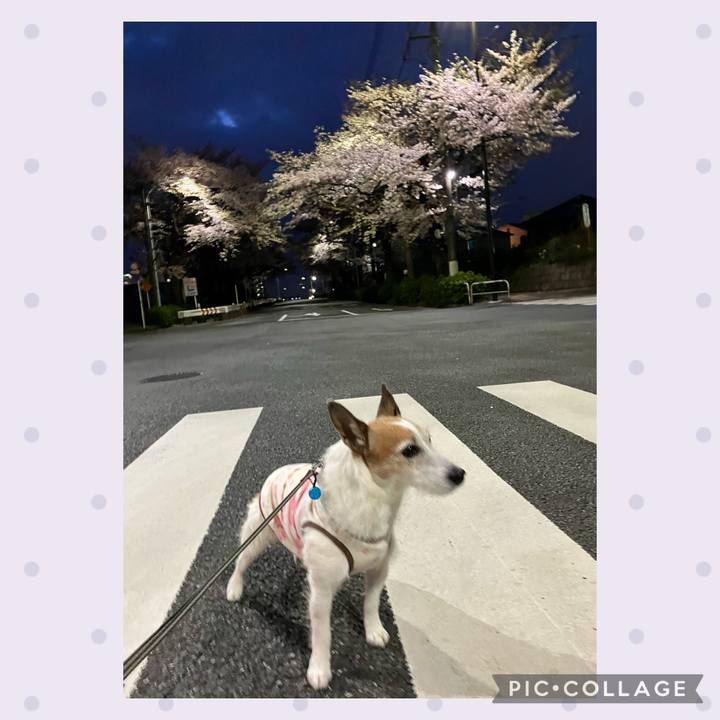 848a3ab5 d9df 4b42 8538 ddc820e2835b 1679959657606