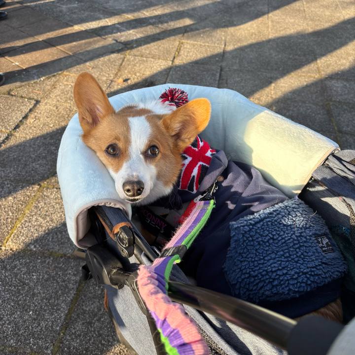 848a4b50 6925 4afc a311 578d3ea315d2 1764460433914