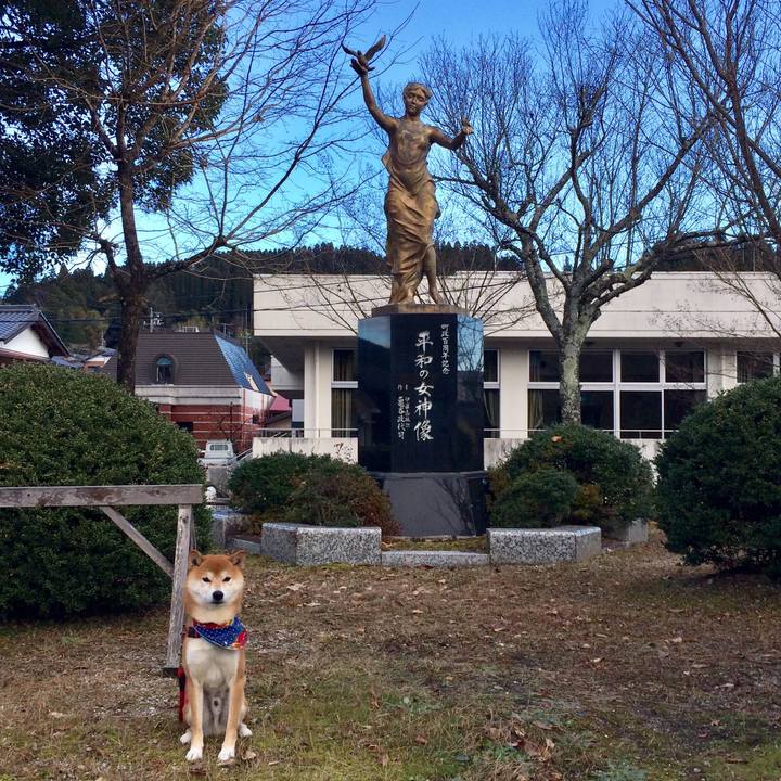 848a70a3 c670 4c83 92f9 b246aeaa47b2 1512804495764