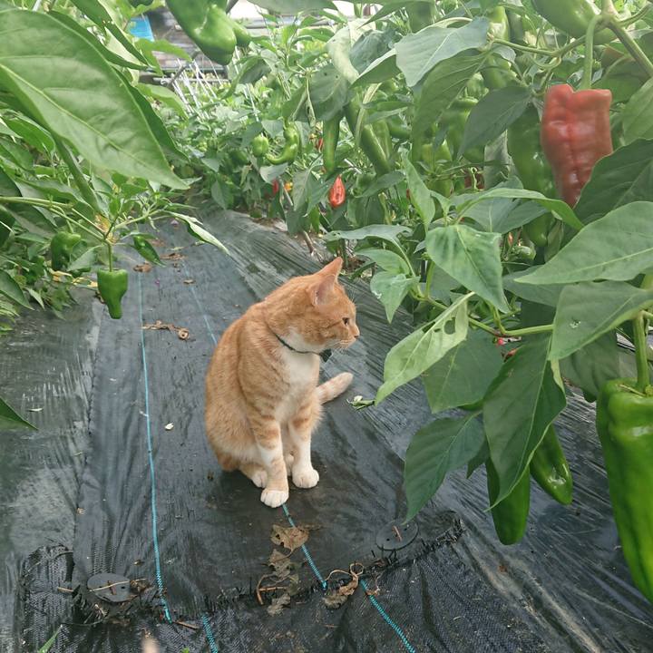 848a72f6 6726 481d a864 f544d0d1161b 1567112236461