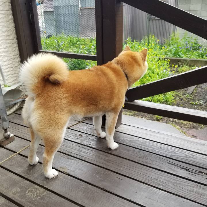 848aa40f d709 4bd5 9b4e bed9bce4fc76 1623625809772