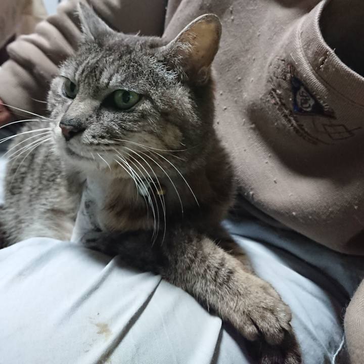 848af8c7 4efb 4c64 b29d 7b55cab93840 1588745809634