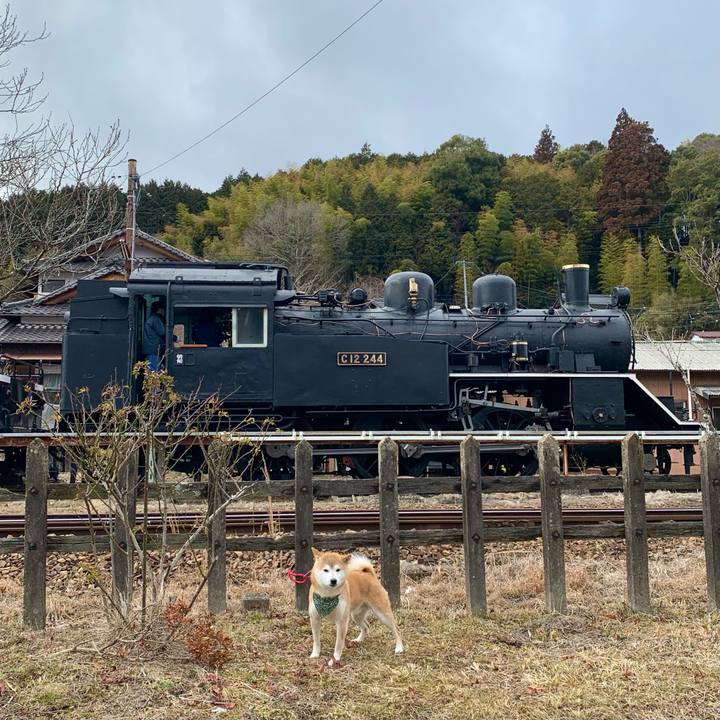 848b062d 7d69 4d92 99ff 42d182f9191a 1646555650092