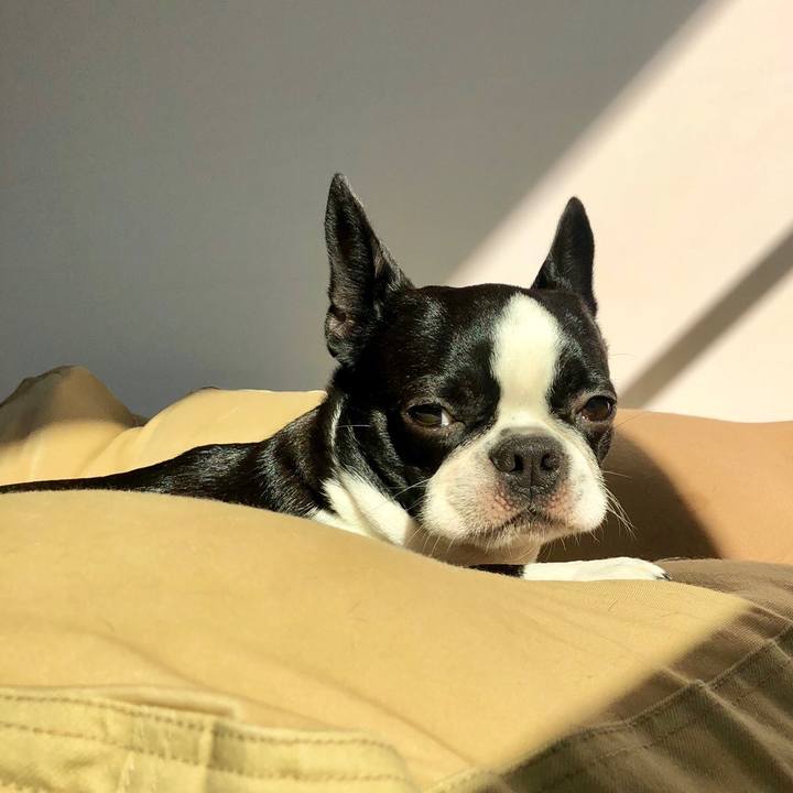 848b0801 da2b 4f4a 95c2 900287e40b49 1540172361270