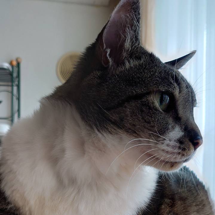 848b6994 b832 44b7 ac2d fe783a5b7a2b 1685843532516