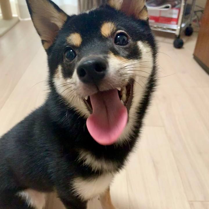 848b8e46 7ebb 4444 9fcd 92d92a990842 1569051754296