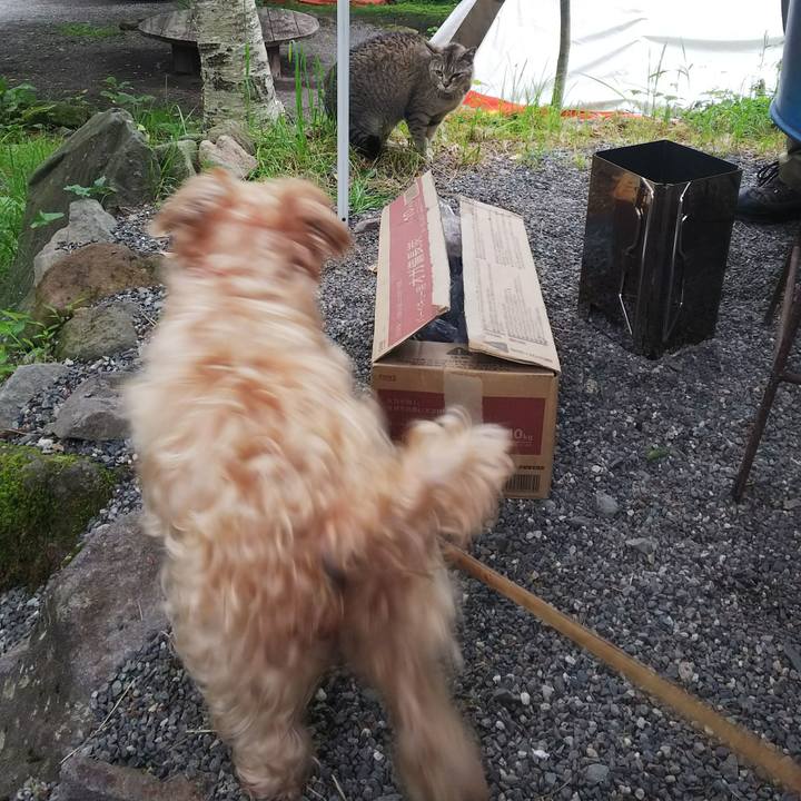 848b93e6 14d0 4a56 8b78 46ee796f55c3 1529726657081