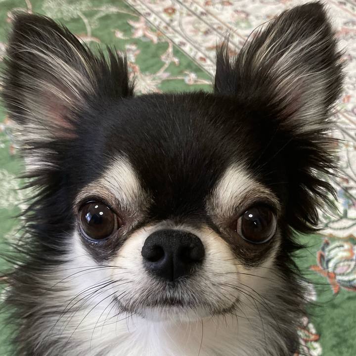 848b94e3 5352 40e9 bf03 0d65d59a1b71 1654385834200